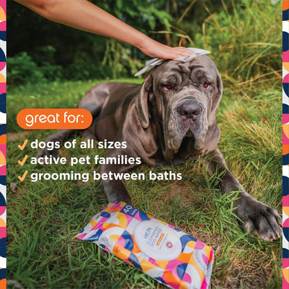 PL360 Dog Grooming Wipes for Cleansing & Deodorizing | Pet Wipes for Dogs, Cats, Puppies & Kittens | Mandarin Scent | Eco Friendly, Natural and Safe Ingredients